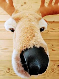 Magnifique appartement à la montagne classé 4 étoiles