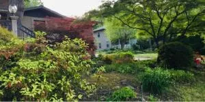 Paw Paw Tree Estate with Guest House - Clinton