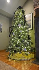 Powder N Wakes - McComas Beach