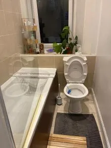 Edinburgh Christmas Family Apartment - Granton