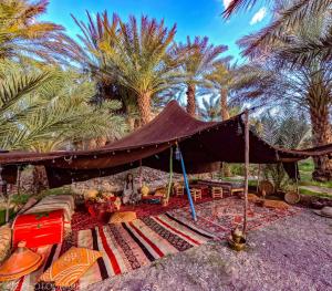 MAISON DHOTE DAR IMRANE