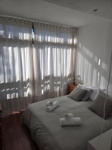 Casa Ski