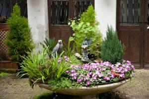 Maisons de vacances Maison accueillante a Auxerre de 50 m² avec jardin : photos des chambres
