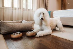 Hotel Zagreb - Health & Beauty 