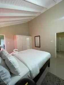 Ocho Rios Maui Getaway - Bantam Spring