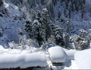 Sunrise Retreat Homestay