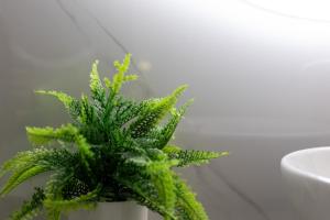 Cozy Familiar Retreat in the Centre of Granada