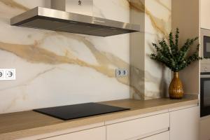 Ático Avenida Edf. Cayetana