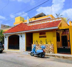 Casa Fernery