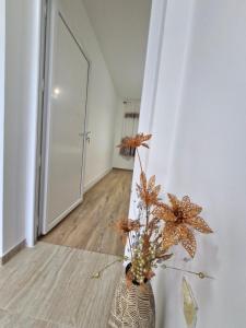 Podgorica Near Big Fashion