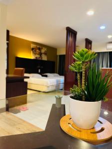 Celestial Haven Suites