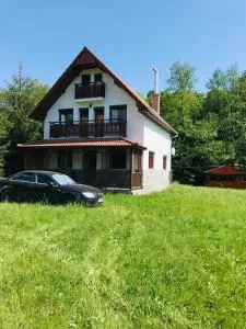 ViiLa Cabanuta - Băile Chirui