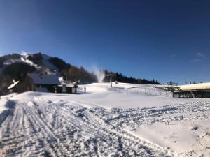 Casa Gugjet Cuore Carnico - appartamento Zoncolan - giardino - no scale - parcheggio e 4 zampe gratis