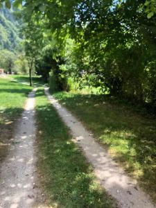 Casa Gugjet Cuore Carnico - appartamento Zoncolan - giardino - no scale - parcheggio e 4 zampe gratis