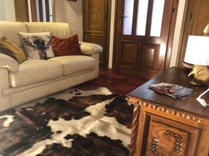 Casa Gugjet Cuore Carnico - appartamento Zoncolan - giardino - no scale - parcheggio e 4 zampe gratis