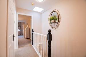 Tropical Vibes in the City of Tribes