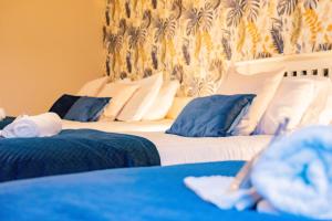 Tropical Vibes in the City of Tribes