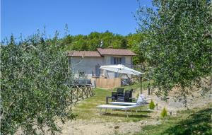 Pet Friendly Apartment