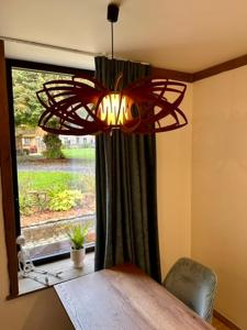 Tiny House dans les Bois Une Évasion Cozy pour Deux !