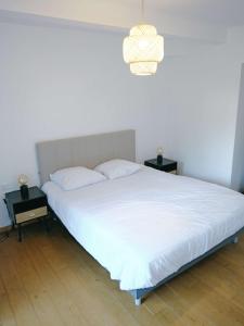Appartements Hotel Lefort - La suite imperiale : photos des chambres