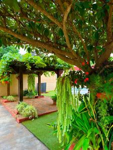 Apartamento con piscina, terraza y parking en las cercanías de Asunción