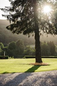 Maisons de vacances Tiny House dans les Bois Une Evasion Cozy pour Deux ! : photos des chambres