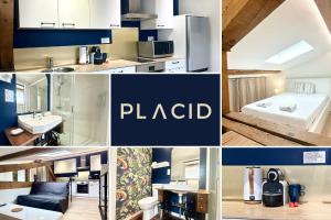 Appartements Le Nid Douillet - Clim - Fibre - Chaleureux - Lumineux : photos des chambres