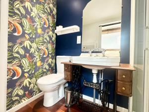 Appartements Le Nid Douillet - Clim - Fibre - Chaleureux - Lumineux : photos des chambres