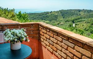 Nice Apartment In Casal Velino