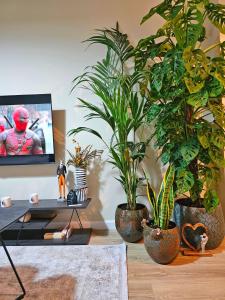 Maga Tirana Apartment