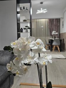 Enjoy my Home near Palas Mall 2