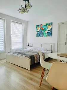 ul Monte Cassino 16/11 - 斯维诺乌伊希切