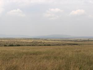 Savannah Solace Mara Camp