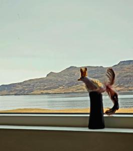 Sigurstapi, Borgarfjörður Eystri