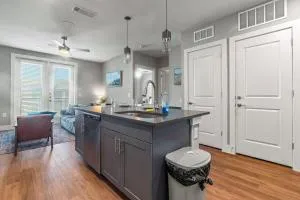 Alluring 1BD 1BA with Beautiful Pool in Fort Worth - 艾索