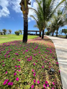 Resort Beira mar em Porto de Galinhas - Cupe Beach Living