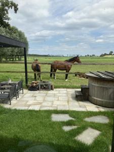 vakantiehuisje M&M airconditioning sauna hottub private garden