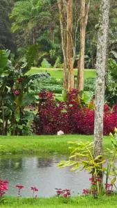 Celeiro Stein - 多明戈斯马丁斯