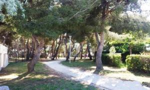 Campings Cb - Espace & confort, 3 ch, 41m2, proche mer : photos des chambres