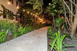 Residences at Barrier Reef 11B Partial Ocean View 2 BR by Stay Floreo