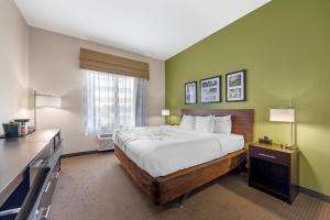 King Room - Accessible/Non-Smoking room in Sleep Inn & Suites Columbia