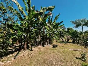 Honey Comb Villa - Bantam Spring