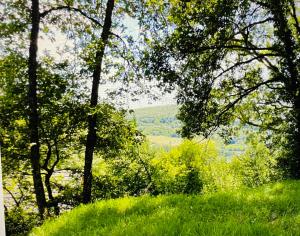 Chalet climatisé dans un écrin de verdure