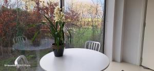 gastenverblijf Bij de Dijk