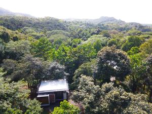 Casita Jungle Nest non active