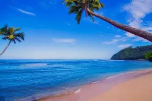 Survivor Samoa Beach Resort - Apia