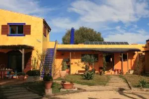 El Vuelo de la Libélula - Barbate