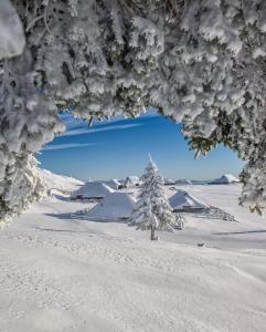 Riverdance with mountain view, garden and private parking