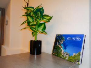 'Al Vico Dante' img1