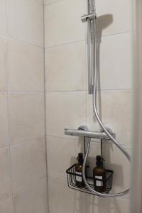 Appartements Le cocon des Rosies le Virginia Hall : photos des chambres